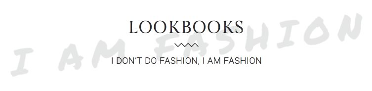 fashion_bg_text.jpg